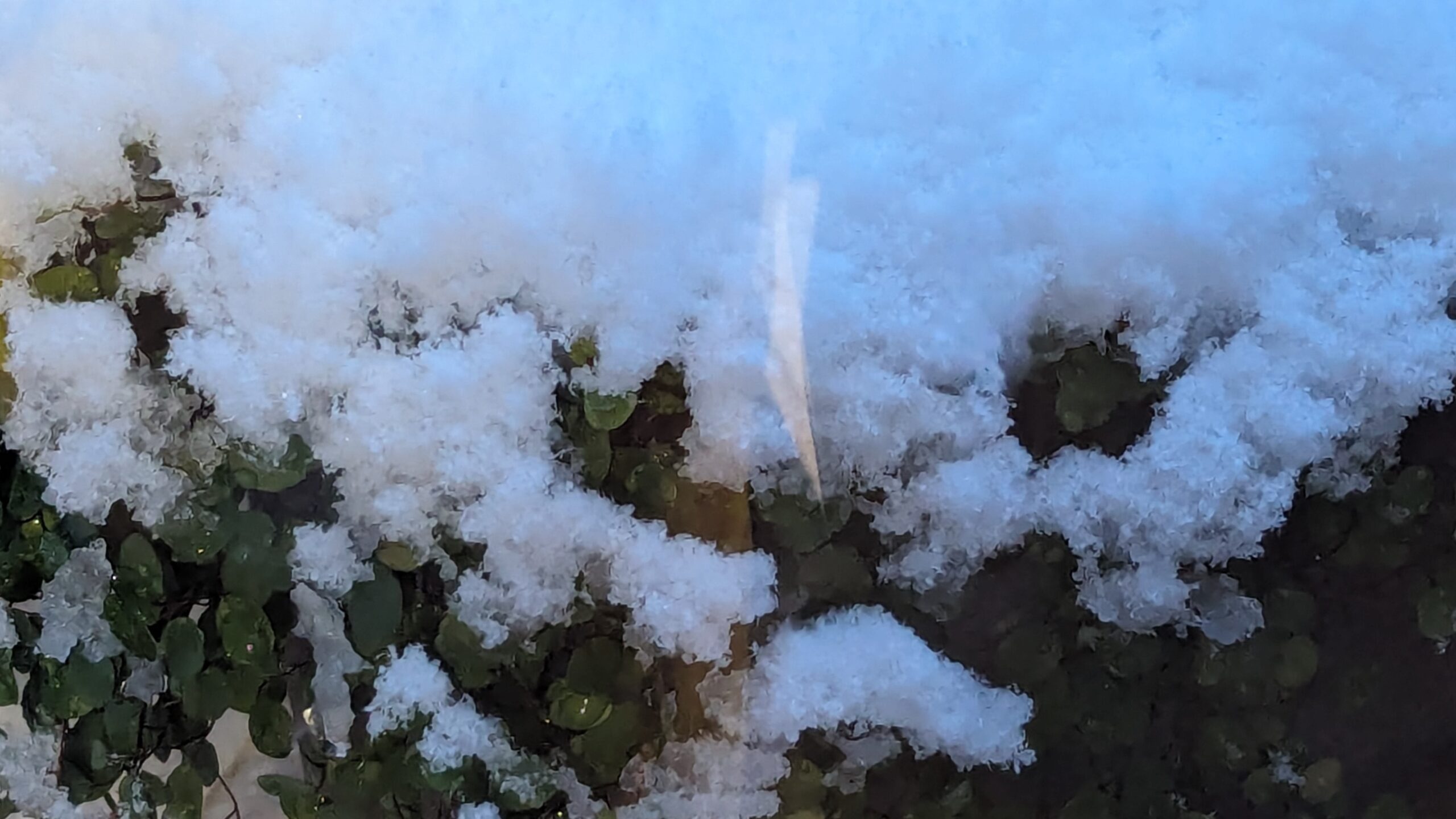 2/5初雪