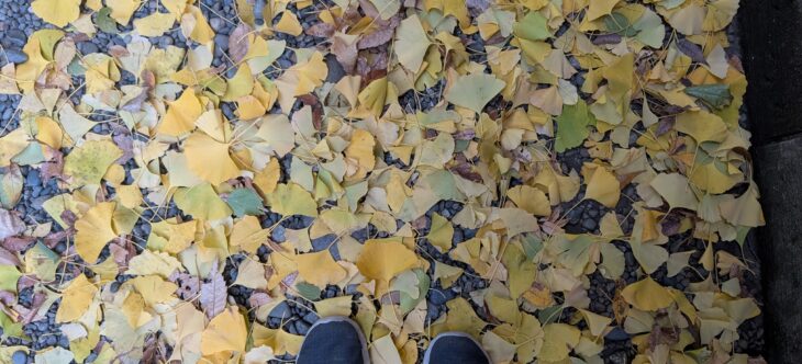 クラウドファンディングの勉強1回目