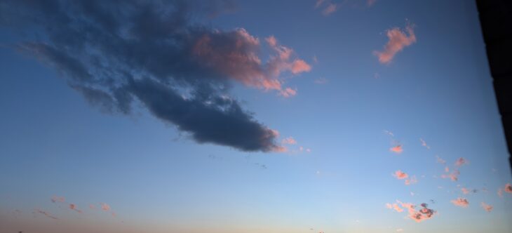 2025年 映画後の夢は!?