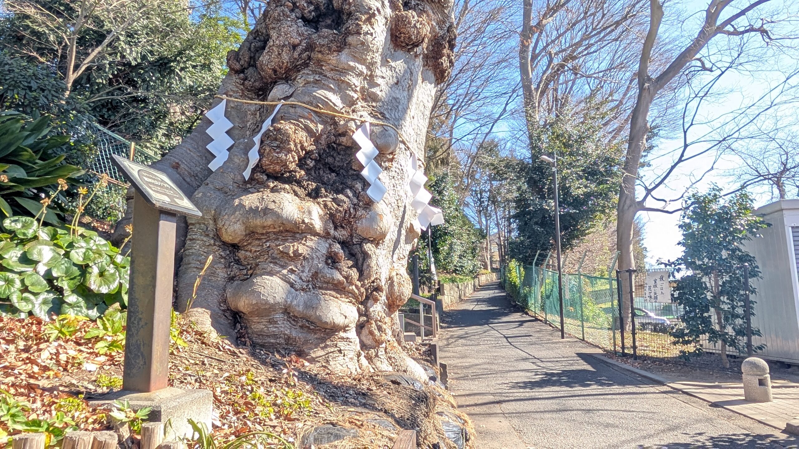 2/14 府中 瀧神社総代会長さんへ会いに行く