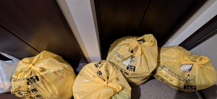 片付けのモモさん体験！部屋の整理で未来の路を開く